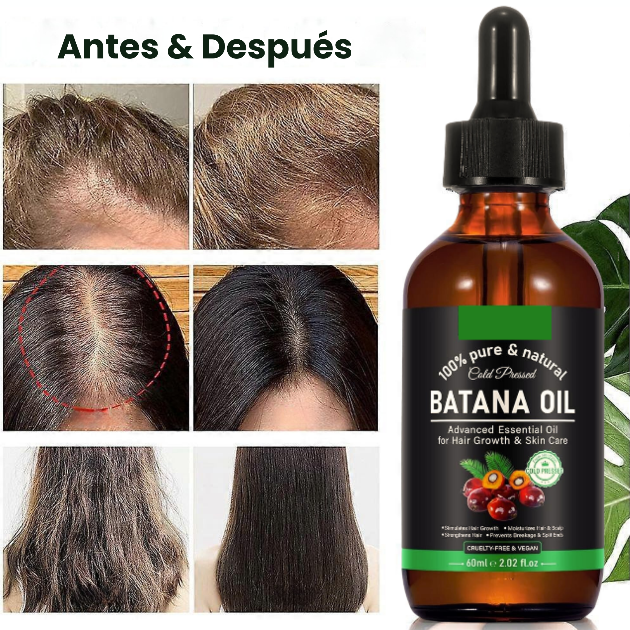 Aceite Batana 100% Natural – Previene la Caída del Cabello y Estimula el Crecimiento Rápido