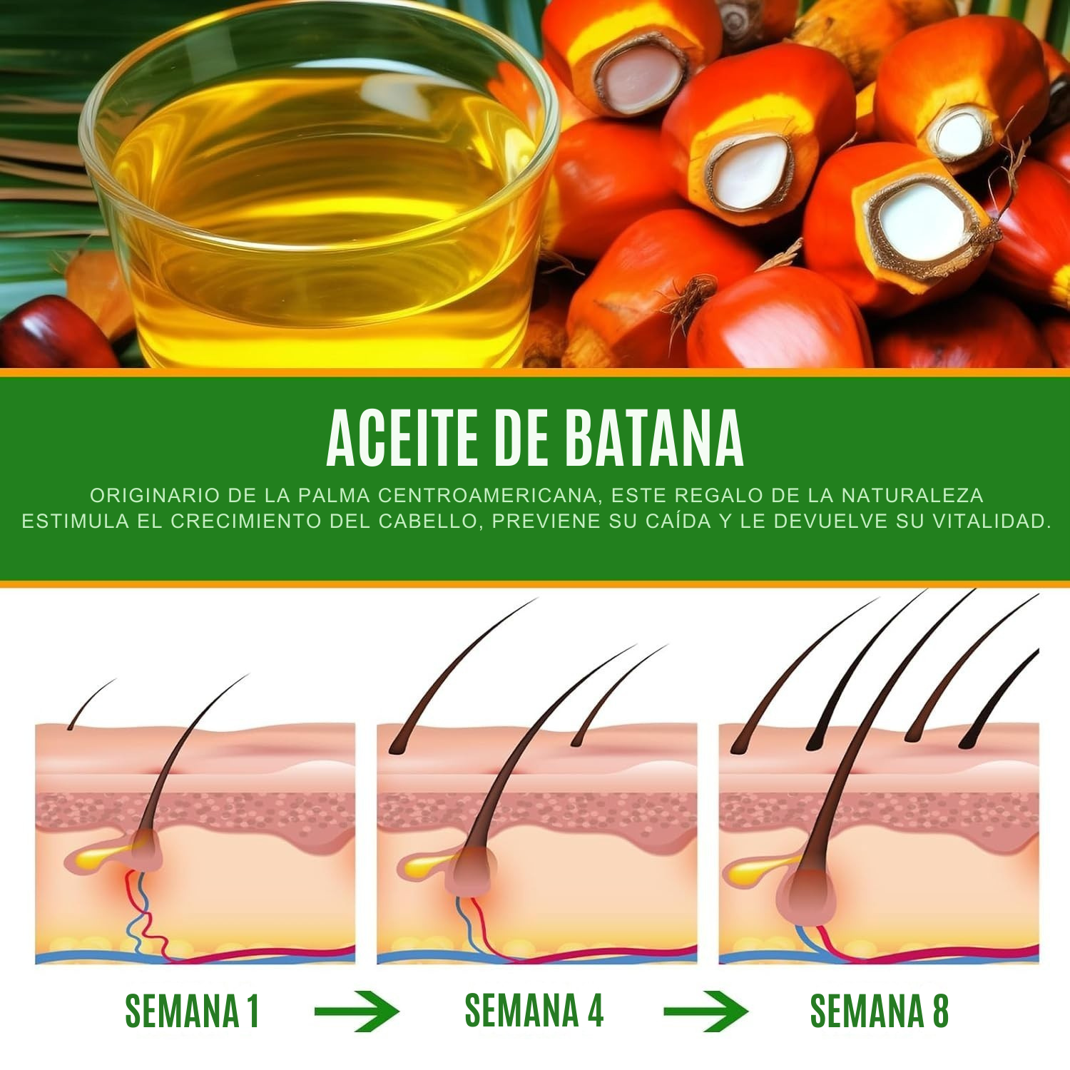 Aceite Batana: El Secreto Ancestral para Prevenir la Caída del Cabello y Estimular el Crecimiento
