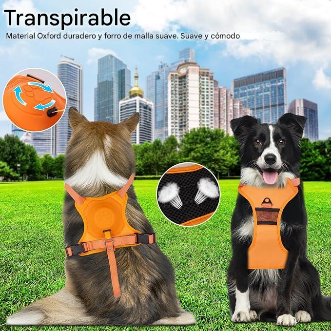 Arnés Ajustable y Seguro con Correa Oculta – Fácil de Usar