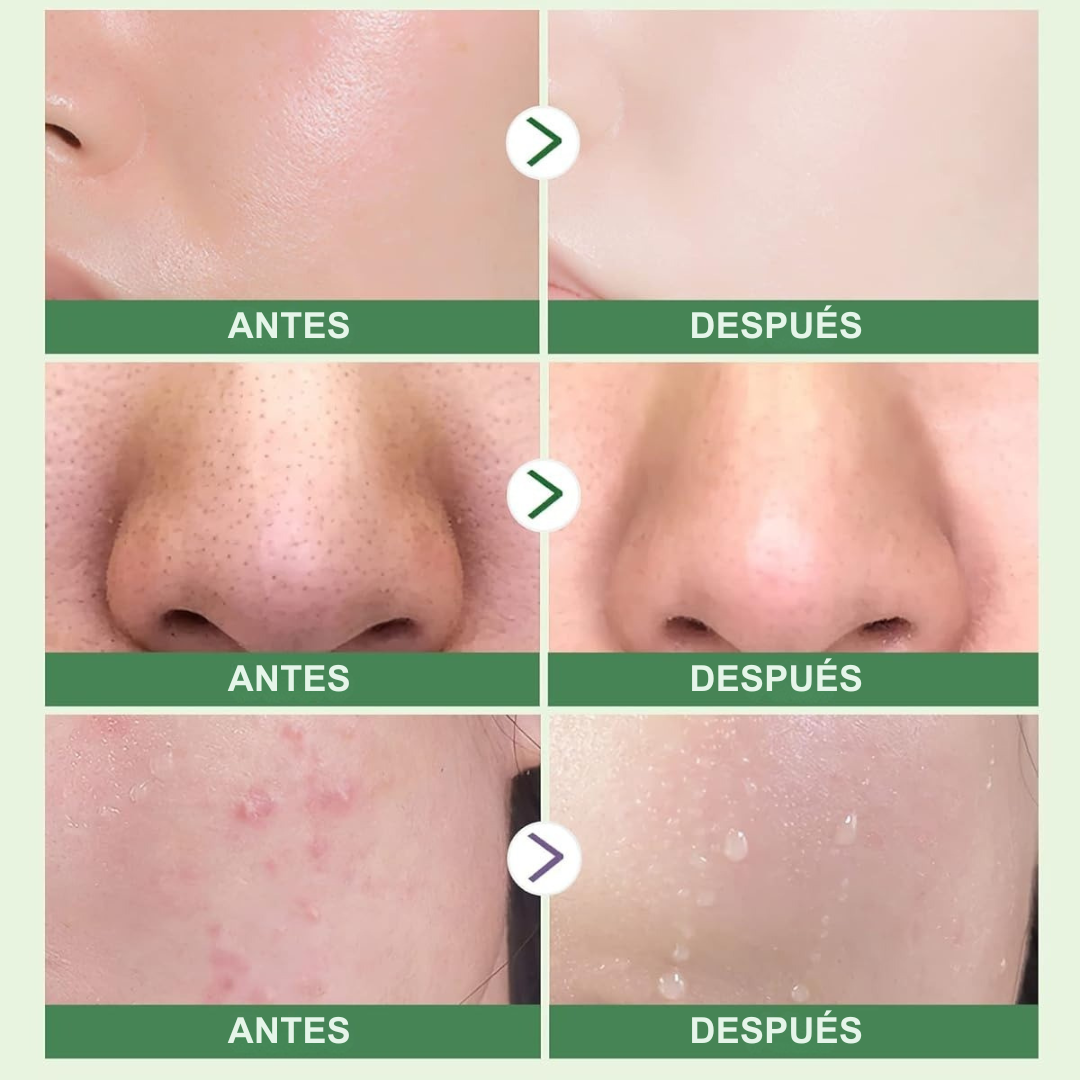 Mascarilla en Barra de Té Verde – Piel Suave e Hidratada al Instante